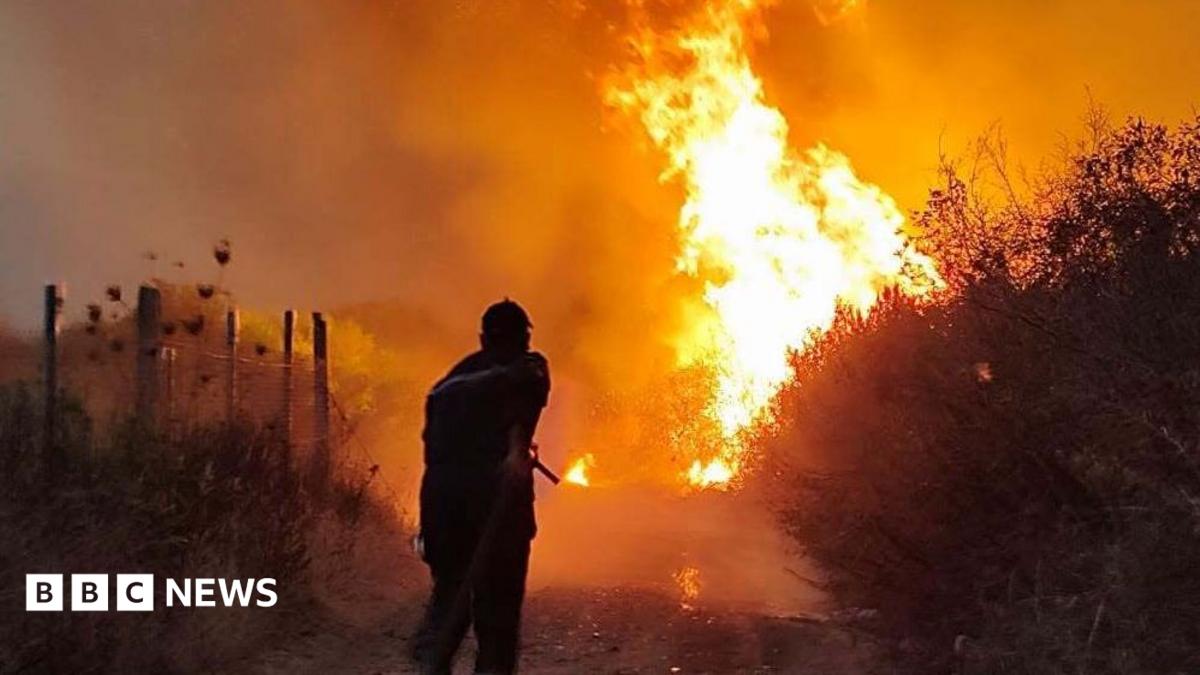 Algeria Imposes Death Penalty for Arson Following Devastating Wildfires