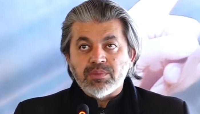 سیاسی مذاکرات کا تعطل بانی چیئرمین کے لیے نقصان دہ ہے: علی محمد خان کا انتباہ اور ملکی معیشت پر اثرات کا جائزہ