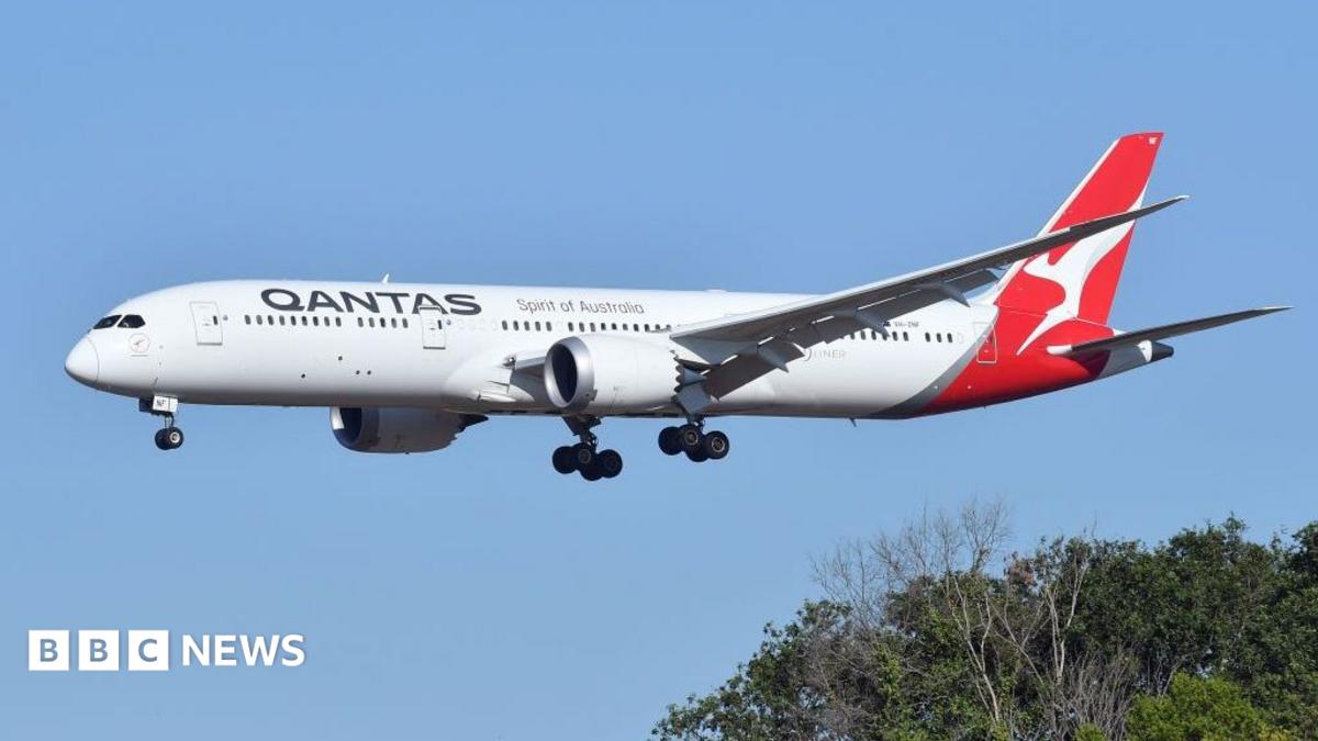 Aviation Biosecurity Fears Mount After Qantas Grounding in Europe