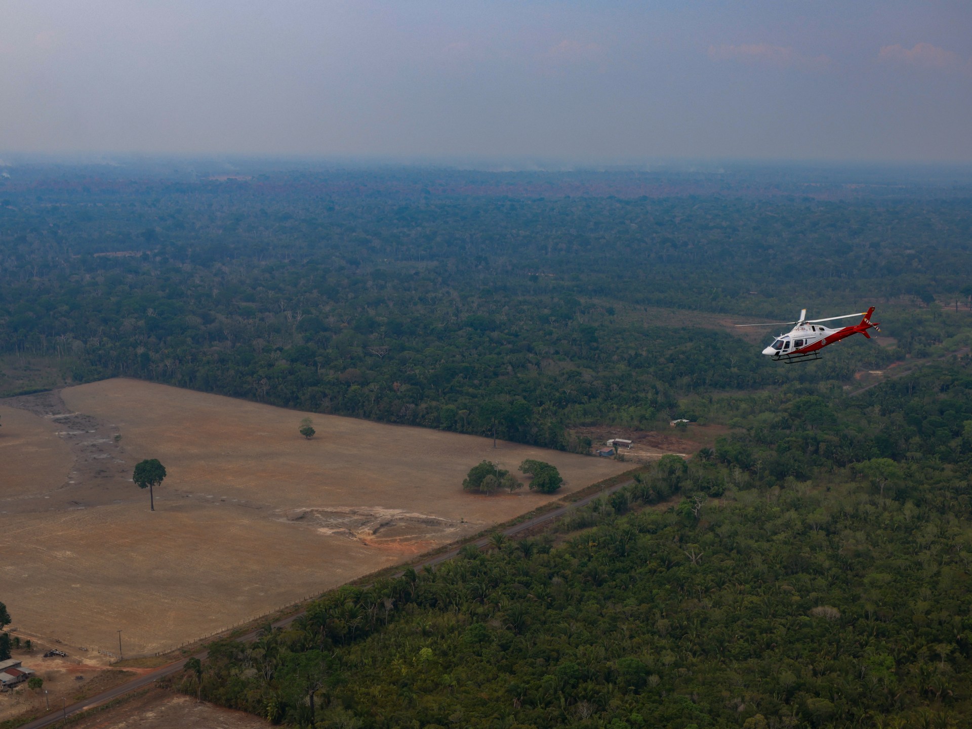 Brazil Amazon Deforestation Drops 42 Percent Reshaping Agri-Commodity Supply Chains