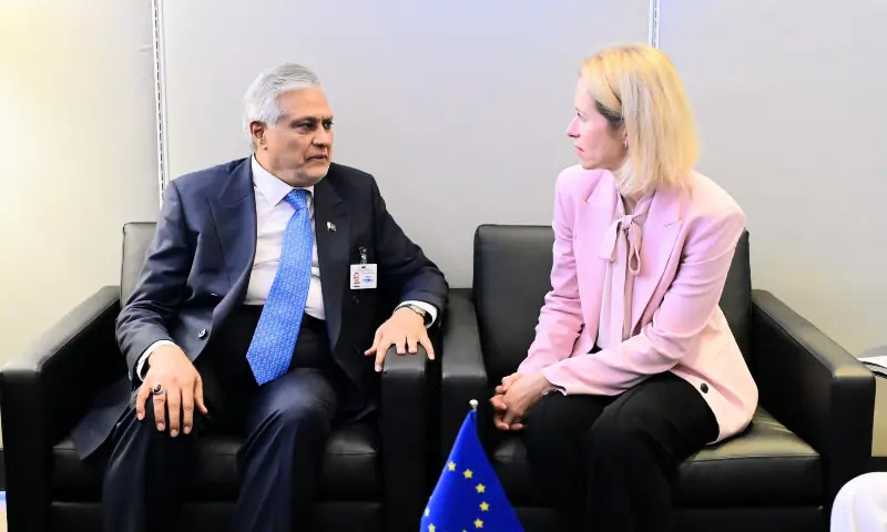 Dar Presses EU for GSP+ Renewal at UNGA