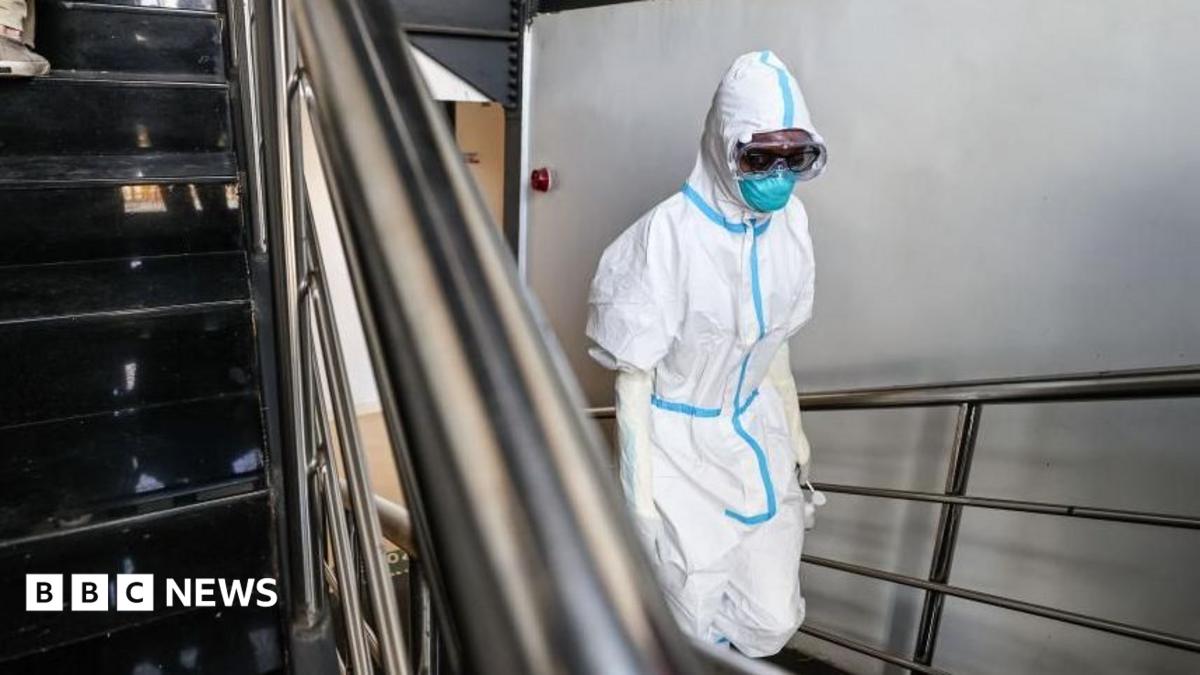 Ebola Cross-Border Breach Triggers Global Health and Trade Alarm