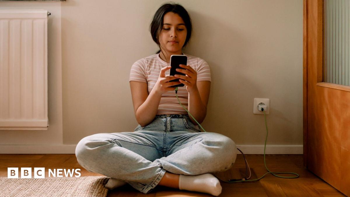 EU Unveils Plan to Ban Social Media for Under-15s