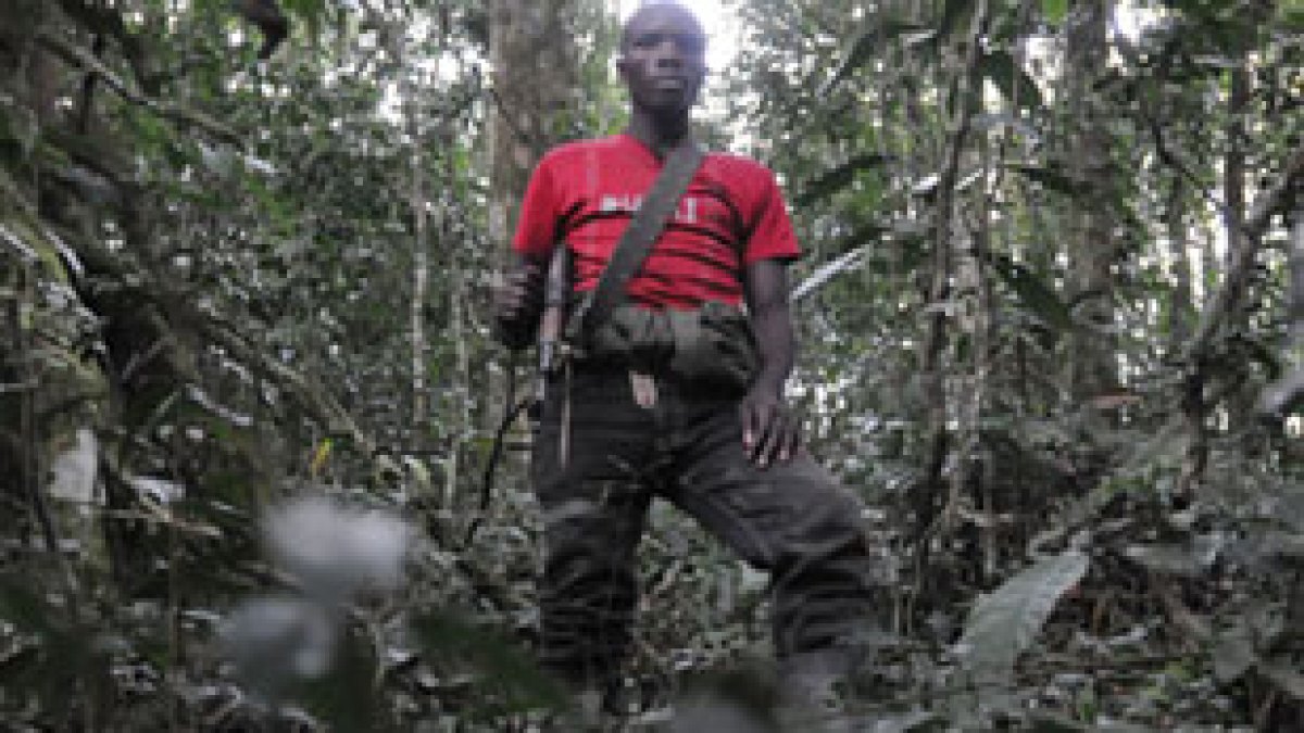FDLR Ideological Persistence Threatens Great Lakes Stability and Mineral Trade