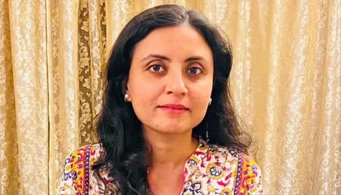 حنا جاوید قتل کیس: پنجاب حکومت کی جانب سے اعلیٰ سطح کی تحقیقاتی کمیٹی کا قیام اور معاشی اثرات کا جائزہ