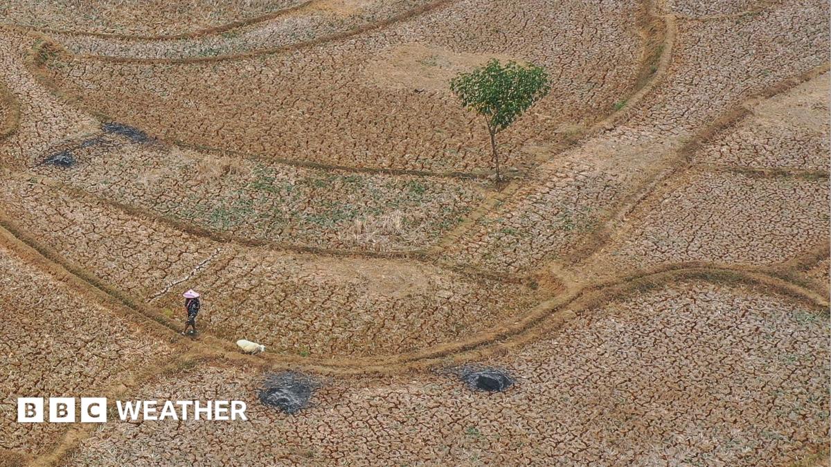 Historic El Nino Intensifies Threatening Global Food Supply Chains and Trade