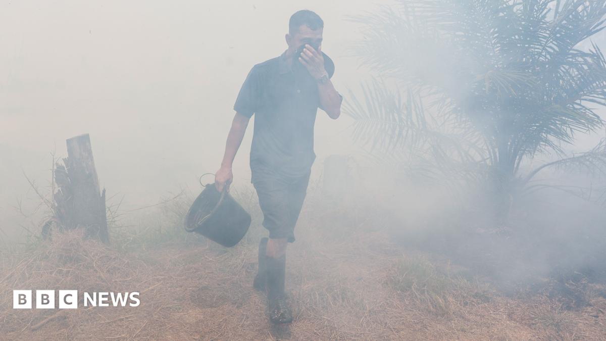 Indonesian Wildfire Toxic Smog Sparks Regional Health and Trade Crisis