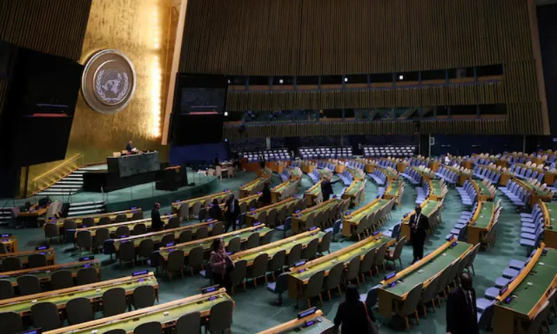 Inside the UN General Assembly: Global Diplomacy and Economic Realities