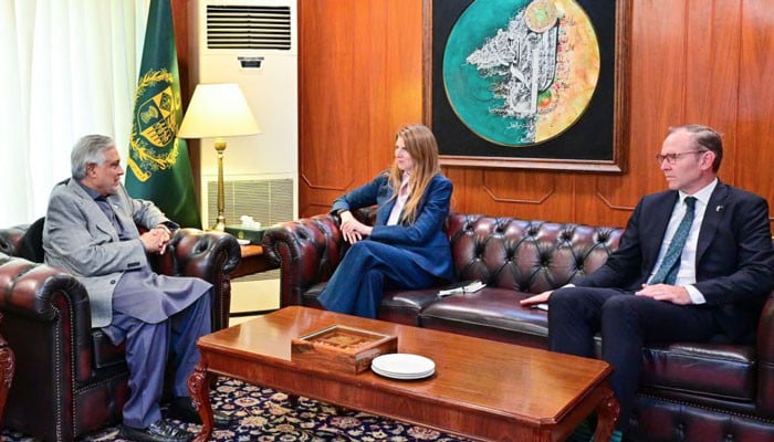 خطے میں کشیدگی کا خاتمہ اور معاشی استحکام: اسحاق ڈار کا اہم ترین مؤقف
