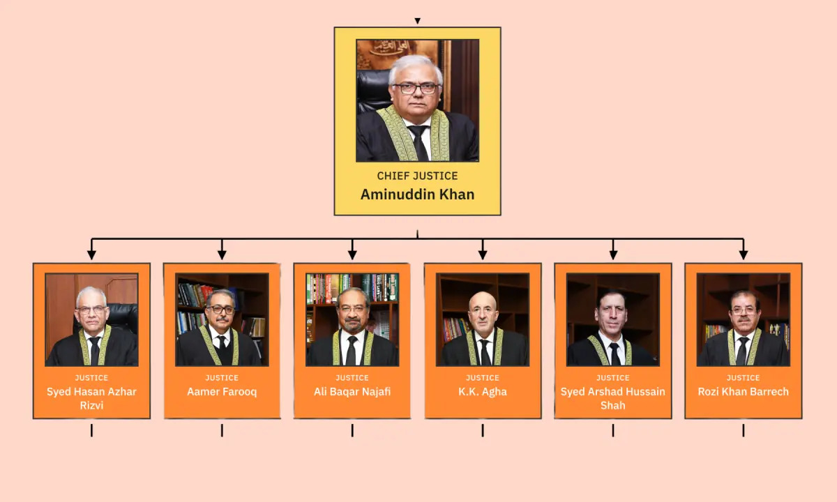 Judicial Overhaul Threatens Pakistan Economic Stability and Rights