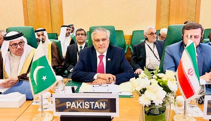 مسئلہ کشمیر کا حل خطے کے پائیدار امن اور معاشی استحکام کے لیے ناگزیر ہے، نائب وزیرِ اعظم
