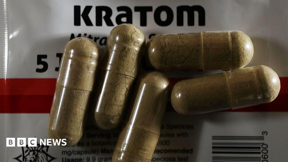 Kratom Crisis Prompts Global Scrutiny Over Export Markets and Public Health