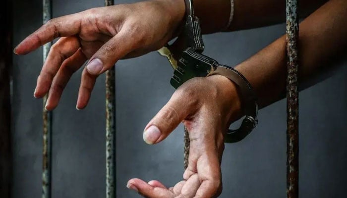 لاہور میں خاتون اہلکار کو ہراساں کرنے کا واقعہ: دو ملزمان گرفتار، تاجر برادری اور سول سوسائٹی کا سخت نوٹس