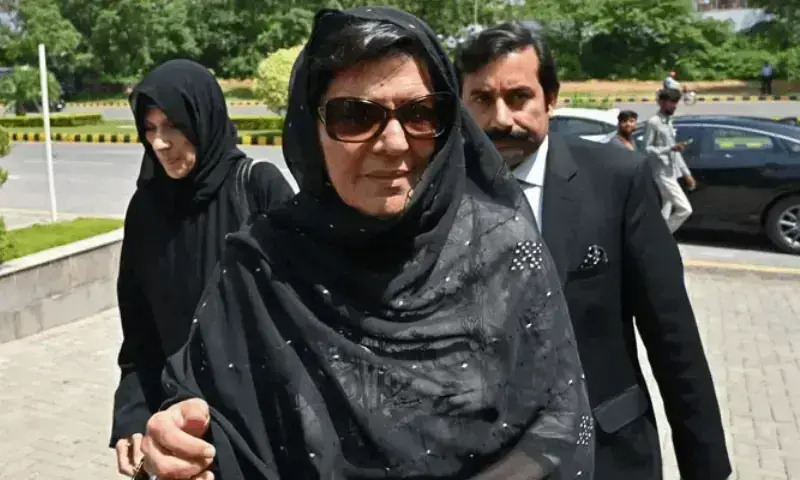 Lahore High Court Demands Punjab Reply on Aleema Khan MPO Detention