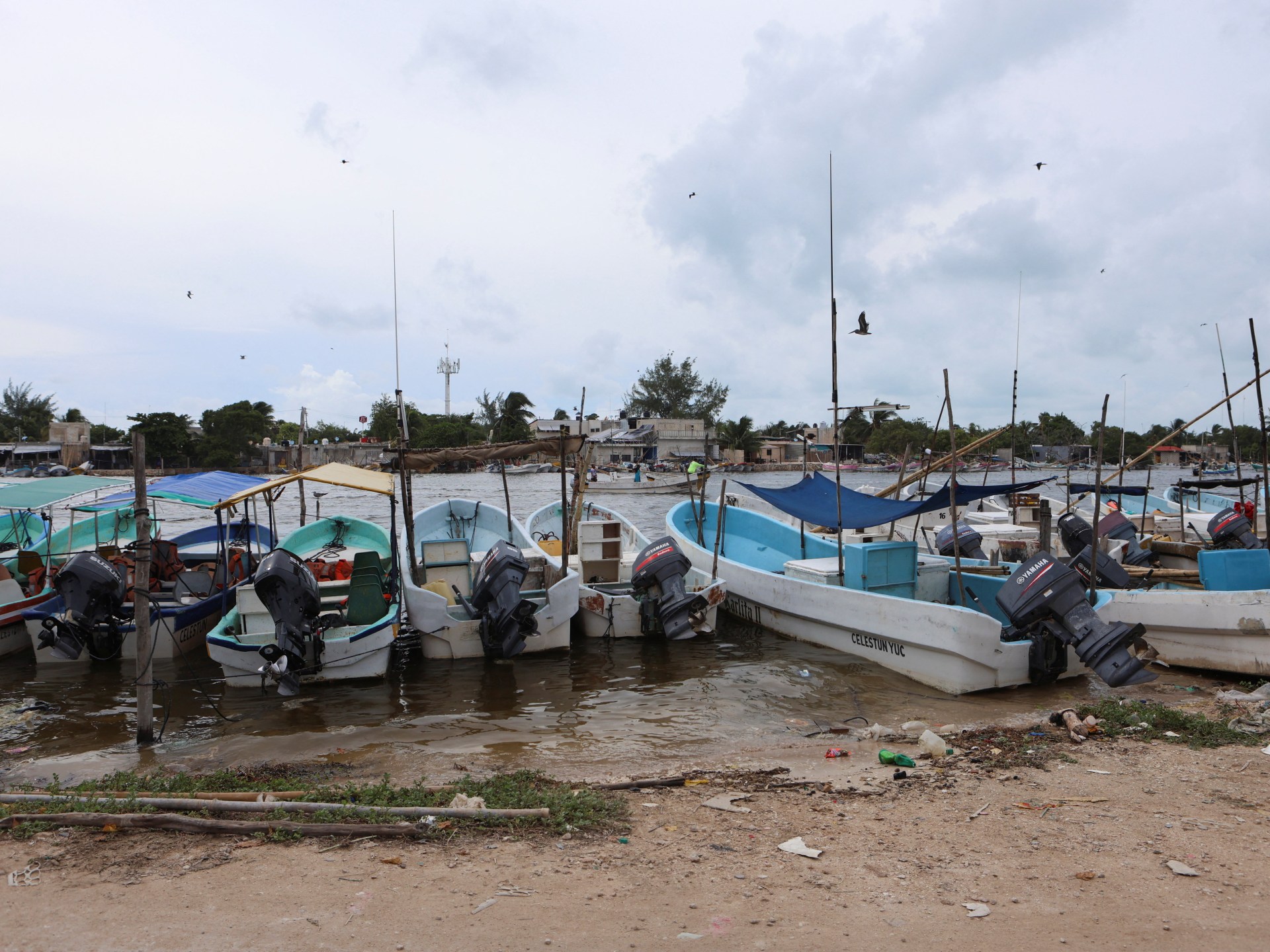 Mexico Yucatan Water Contamination Sparks Environmental and Agribusiness Dispute