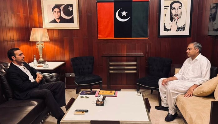 وفاقی وزیر داخلہ محسن نقوی کی بلاول بھٹو سے ملاقات، گورنر راج اور سیاسی صورتحال پر اہم مشاورت