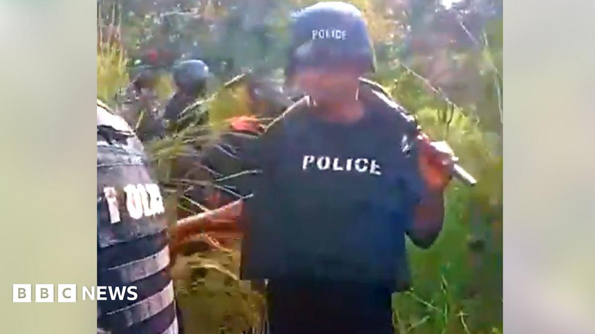 Nigerian Forest Discovery Escalates Security Crisis and Trade Risks