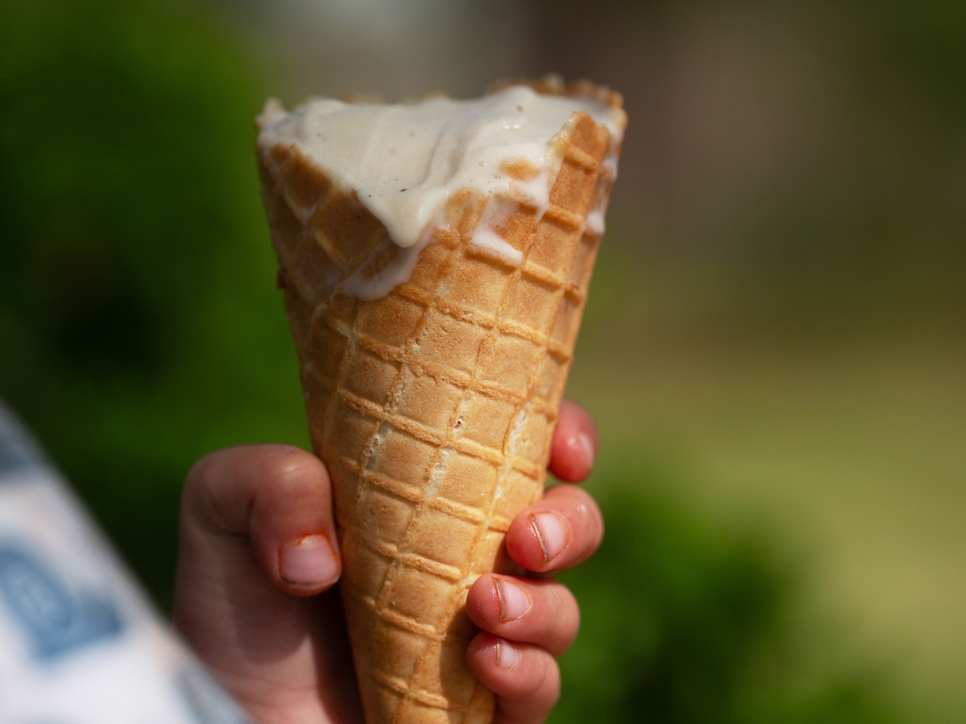 Novel Sweet Protein Brazzein Emerges as Catalyst for Global Health and Commodity Shifts