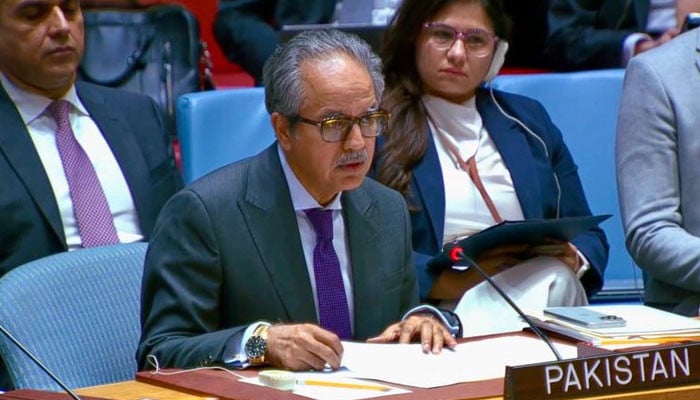 Pakistan Abstains on UNSC Iran Sanctions Vote Balancing Energy and Diplomacy