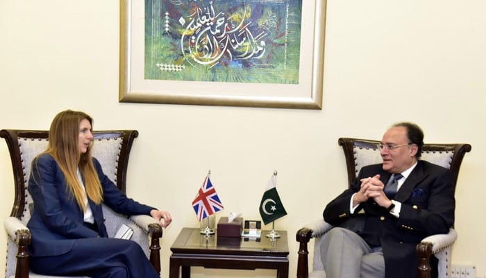 پاکستان کو نئی معیشت کیلئے تیار کرنا حکومتی ترجیحات میں شامل ہے، وزیر خزانہ