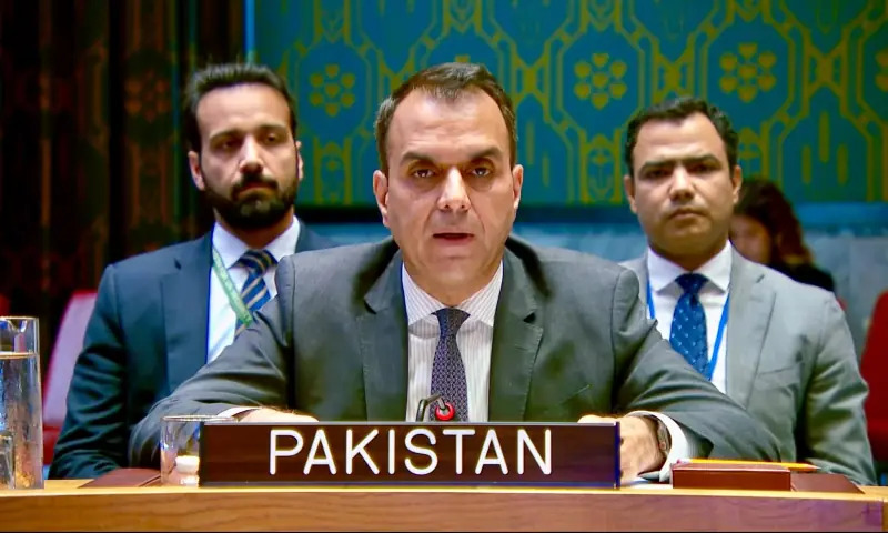 Pakistan Reaffirms Saudi Defense at UN Amid Escalating Red Sea Risks