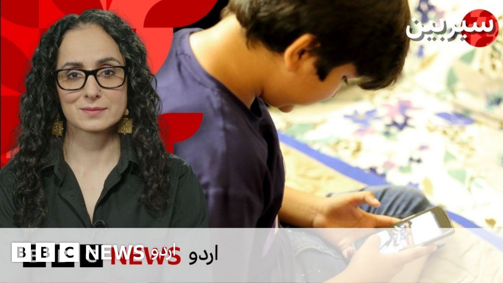 کیا پاکستان میں بچوں کے سوشل میڈیا کے استعمال پر پابندی لگائی جا سکتی ہے؟ معاشی اور سماجی اثرات کا جائزہ