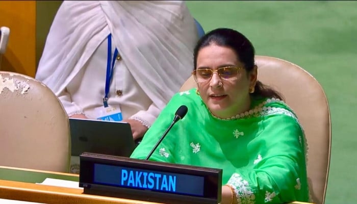Pakistan Warns UN of Global Threat from Indian State-Sponsored Terrorism