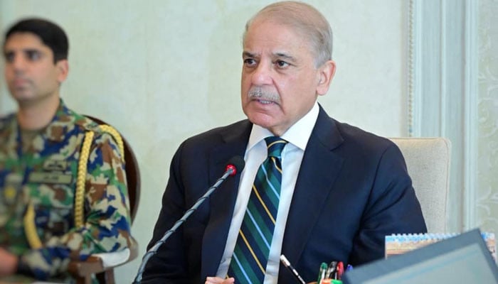 خیبر پختونخوا کے انتظامی و معاشی امور کی نگرانی کے لیے وزیر اعظم کی جانب سے 11 رکنی مانیٹرنگ کمیٹی قائم