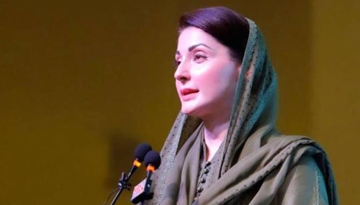 سیاسی محاذ آرائی اور احتجاجی سیاست کے ملکی معیشت پر اثرات: مریم نواز کا بیان اور معاشی تجزیہ
