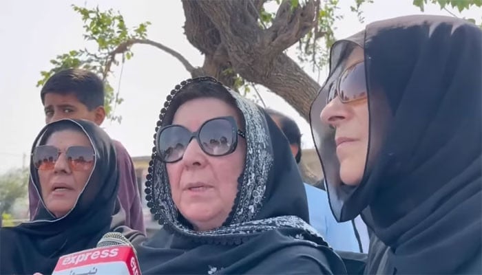 تحریک انصاف کے اندرونی اختلافات اور معاشی استحکام پر اس کے اثرات: احد خان چیمہ کا انکشاف