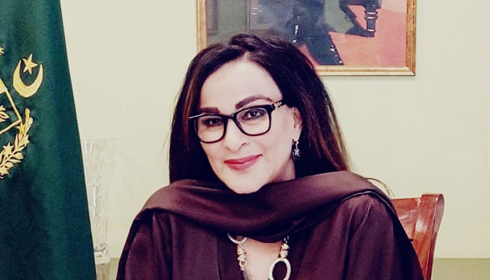 پی ٹی آئی لانگ مارچ: سیاسی کشیدگی کا معیشت پر اثر اور شیری رحمان کا دوٹوک مؤقف