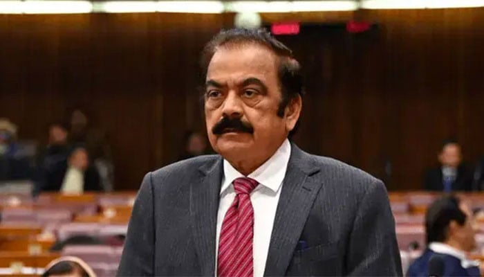 رانا ثناء اللہ کی پاکستان تحریک انصاف کے ساتھ آف دی ریکارڈ مذاکرات کی تصدیق، سیاسی اور معاشی حلقوں میں ہلچل