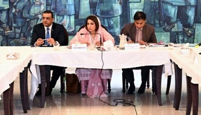 سینیٹ کمیٹی میں ٹک ٹاک لائیو پر پابندی کا معاملہ، ڈیجیٹل معیشت اور سنسرشپ پر شدید بحث