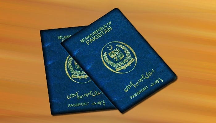 Senate Approves Bill Extending Official Blue Passports to Former Lawmakers