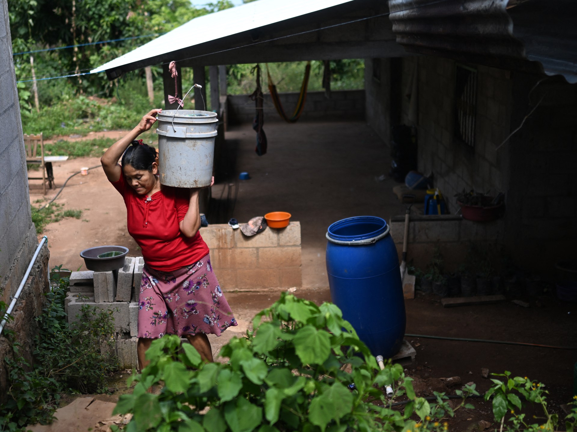 Severe El Nino Threatens Global Supply Chains and Half a Million Lives