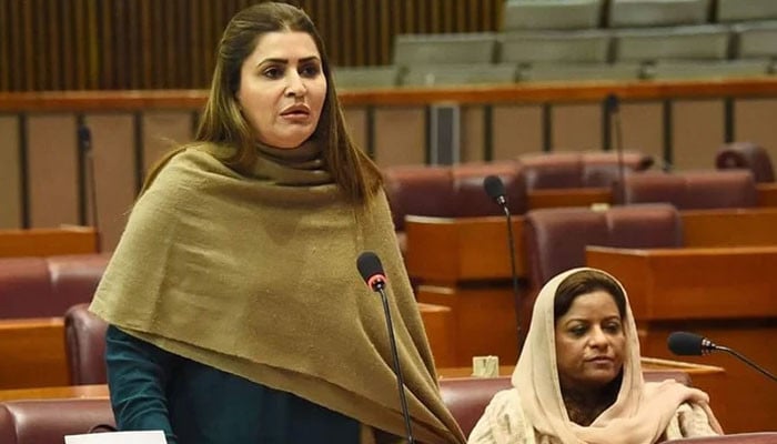 قومی سلامتی پر کوئی سمجھوتہ نہیں ہو سکتا: شازیہ مری کا داخلی استحکام اور معاشی خودمختاری پر زور