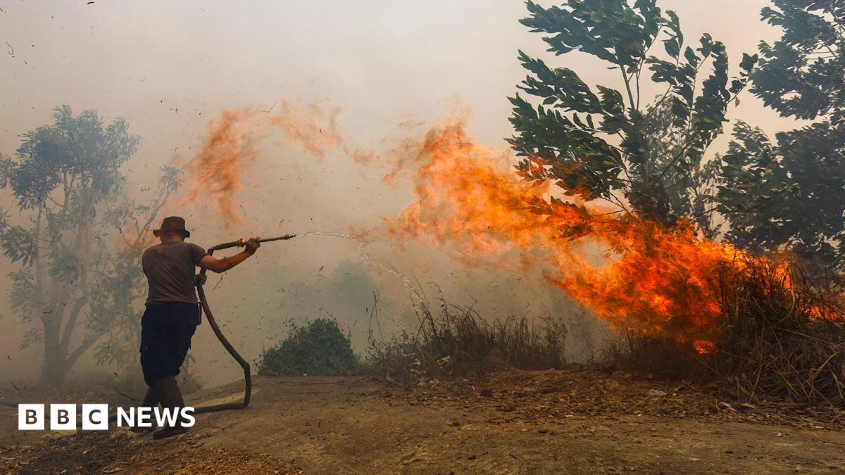 Southeast Asian Haze Crisis Escalates as Indonesian Fires Threaten Regional Trade