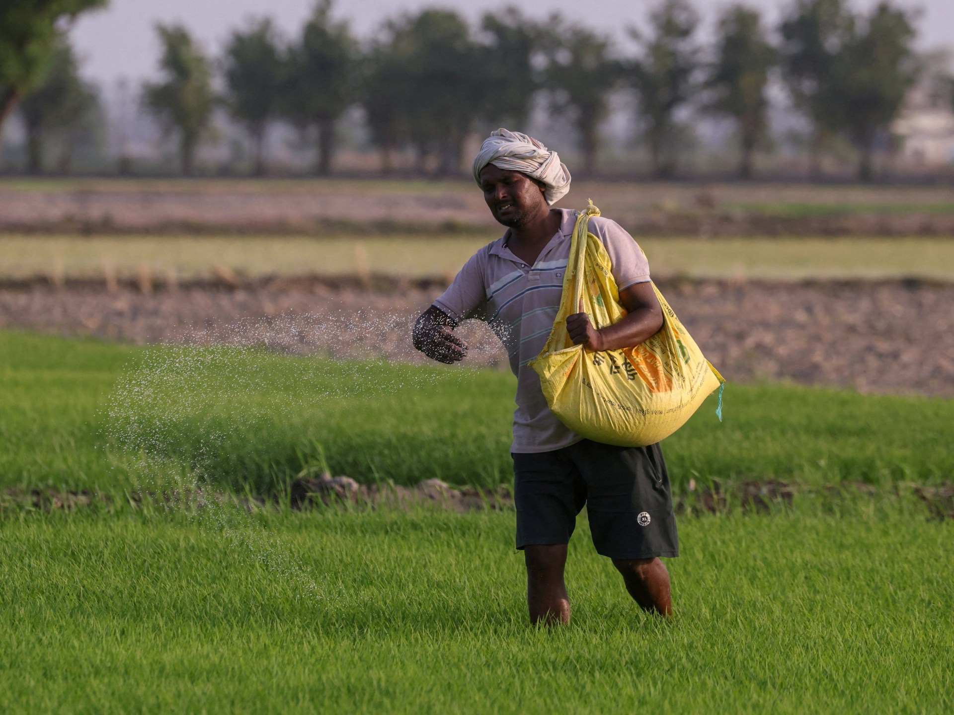 Stalled Hormuz Fertilizer Accord Threatens Global Food Security, UN Warns