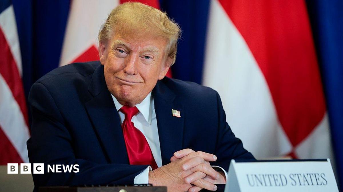 Trump Rebrand of AI Sparks Unprecedented Surge in Slovenian Domain Demand