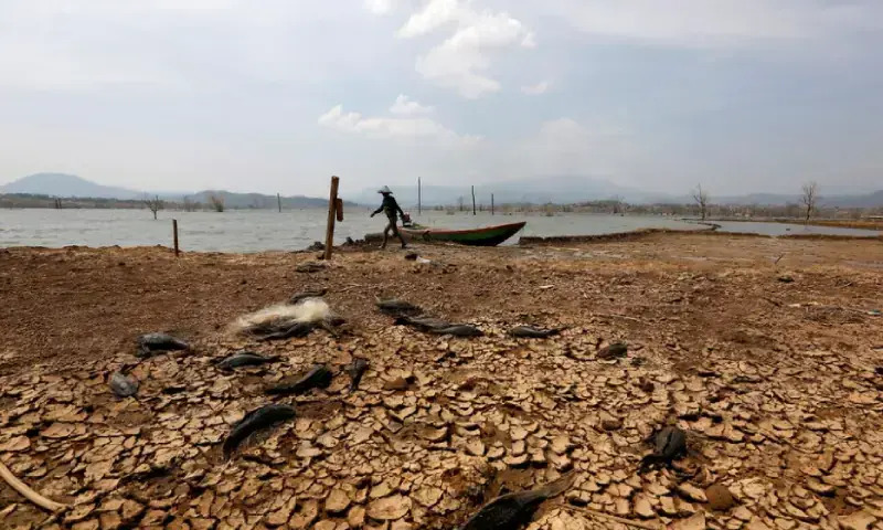 UN Warns Super El Nino Poses Severe Threat to Global and Domestic Markets
