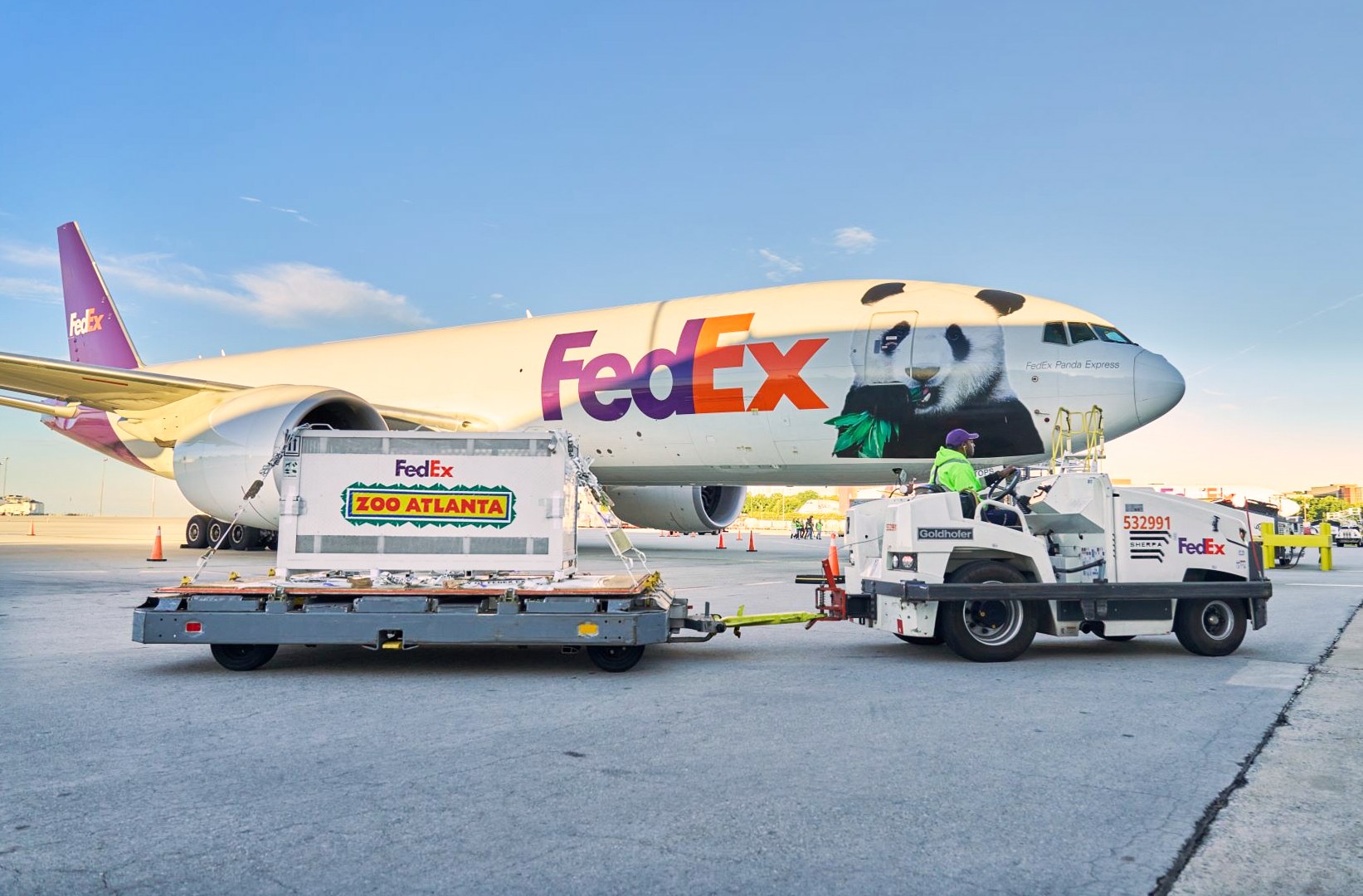 US and China Renew Panda Diplomacy Amid Strategic Tech Rivalry