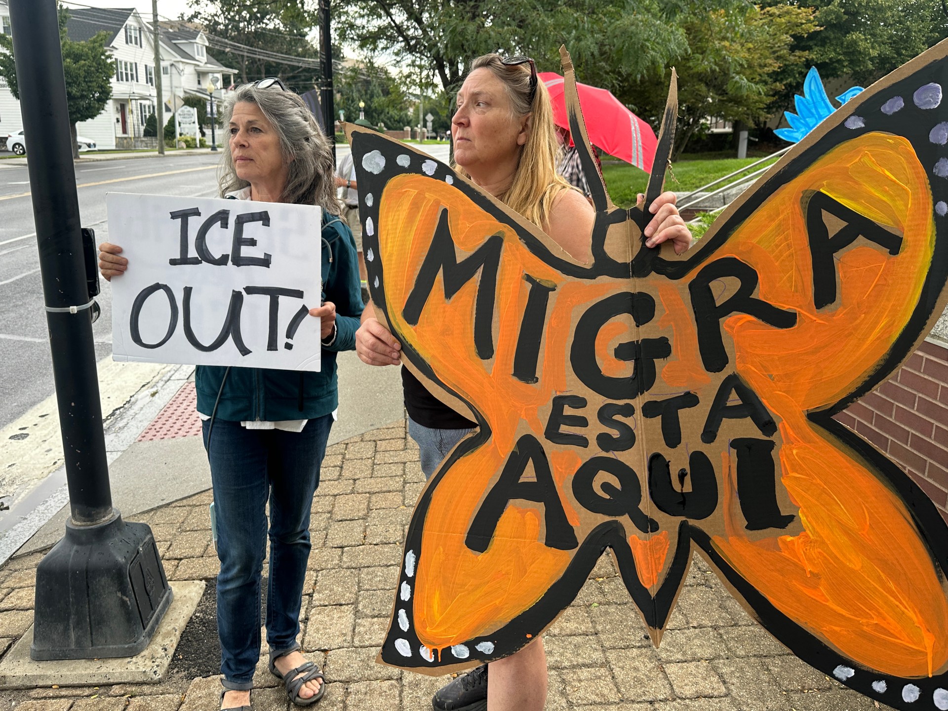US Immigration Enforcement Drives Political Polarization Ahead of Midterm Elections