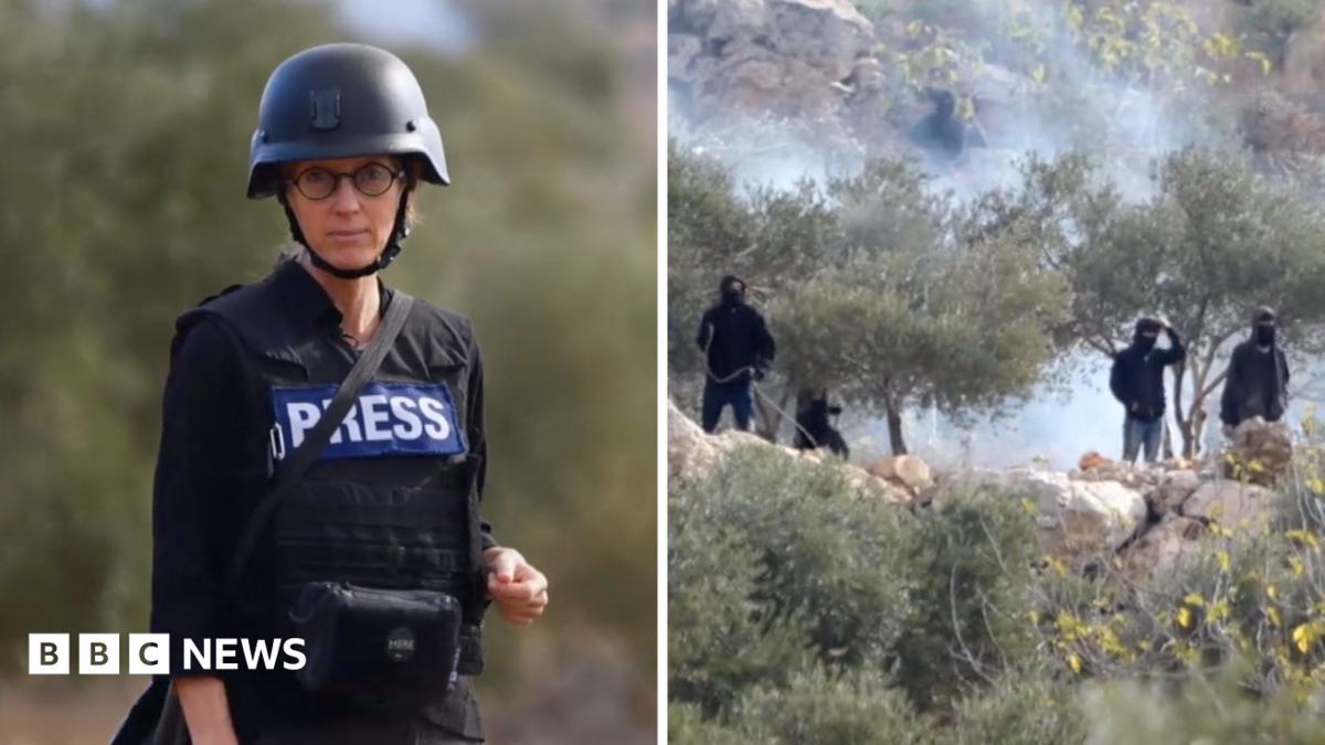 West Bank Olive Harvest Violence Escalates Tensions and Rural Disruption