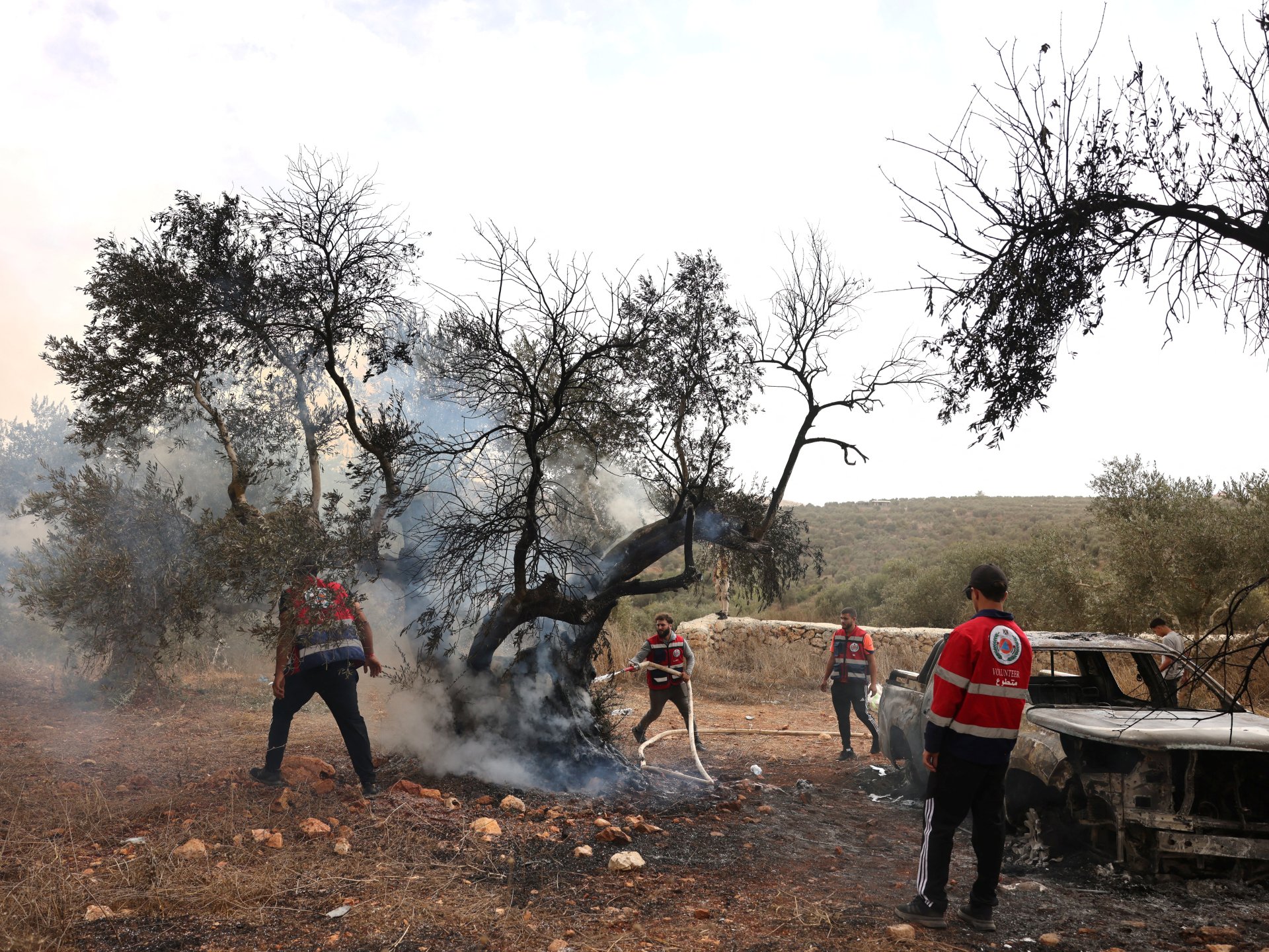 West Bank Settler Violence Escalates Threatening Agricultural Stability and Regional Diplomacy